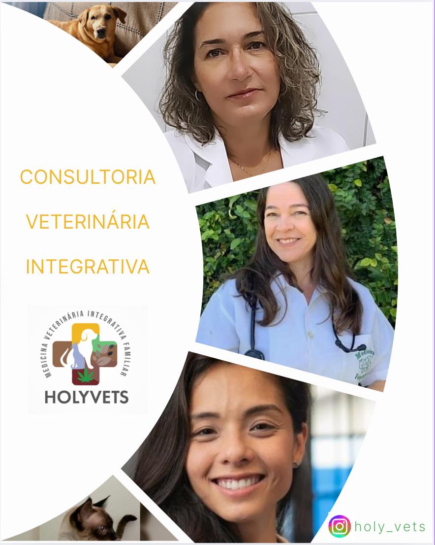Equipe HolyVets